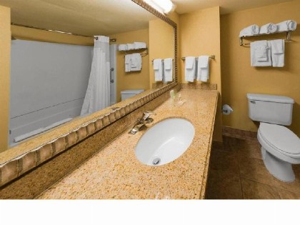Holiday Inn Orlando SW – Celebration Area an IHG Hotel - image 11