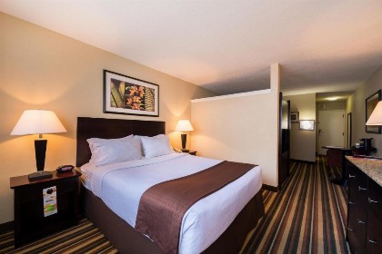 Holiday Inn Orlando SW – Celebration Area an IHG Hotel - image 14