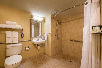 Holiday Inn Orlando SW – Celebration Area an IHG Hotel - image 19