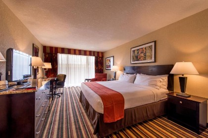 Holiday Inn Orlando SW – Celebration Area an IHG Hotel - image 20