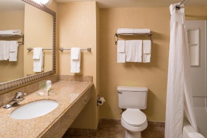 Holiday Inn Orlando SW – Celebration Area an IHG Hotel - image 21