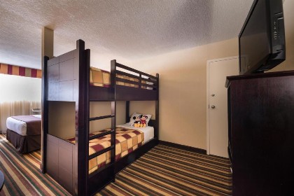 Holiday Inn Orlando SW – Celebration Area an IHG Hotel - image 22
