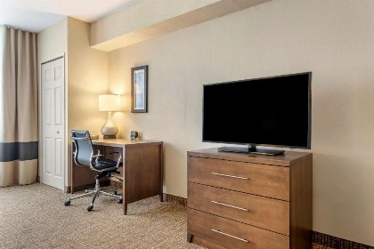Comfort Suites Maingate East - image 11
