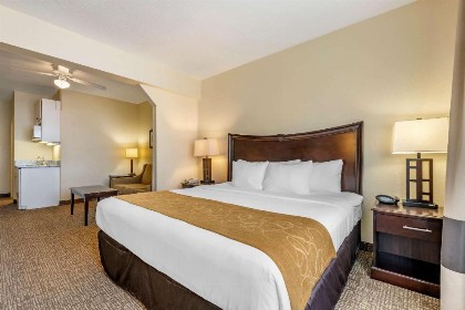 Comfort Suites Maingate East - image 12