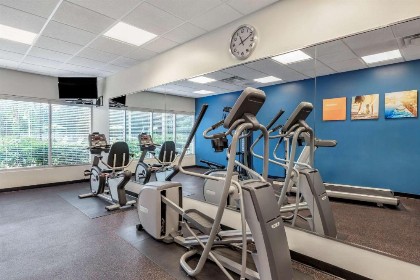 Comfort Suites Maingate East - image 19
