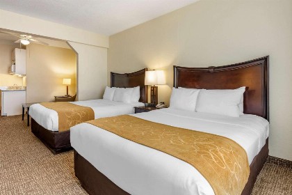 Comfort Suites Maingate East - image 3