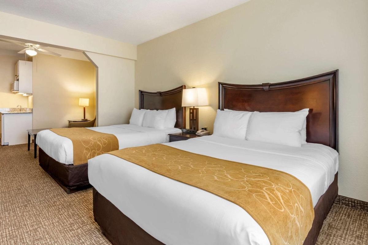 Comfort Suites Maingate East - image 3