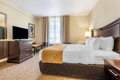 Comfort Suites Maingate East - image 33