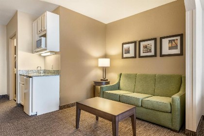 Comfort Suites Maingate East - image 35