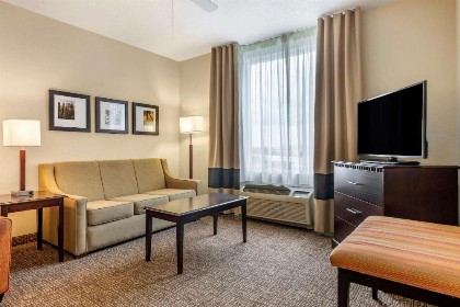 Comfort Suites Maingate East - image 37