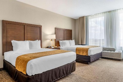 Comfort Suites Maingate East - image 42