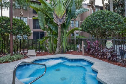 Polynesian Isles Resort By Diamond Resorts - Newly Renovated - image 13