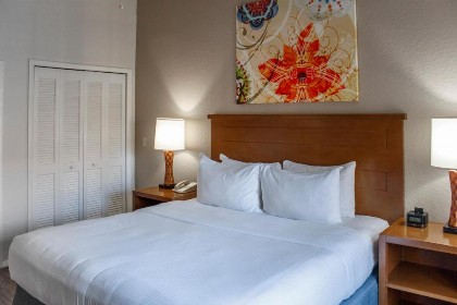 Polynesian Isles Resort By Diamond Resorts - Newly Renovated - image 26