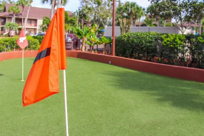 Polynesian Isles Resort By Diamond Resorts - Newly Renovated - image 29