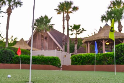 Polynesian Isles Resort By Diamond Resorts - Newly Renovated - image 32