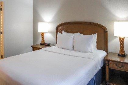 Polynesian Isles Resort By Diamond Resorts - Newly Renovated - image 33
