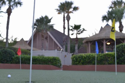 Polynesian Isles Resort By Diamond Resorts - Newly Renovated - image 44