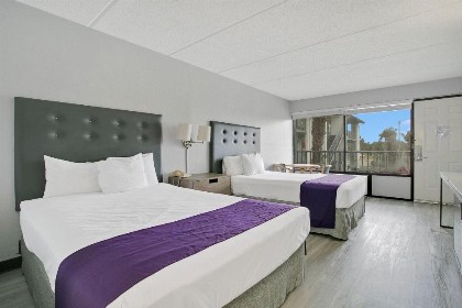 Baymont by Wyndham Kissimmee - image 8