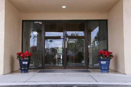 Destiny Palms Hotel Maingate West - image 25