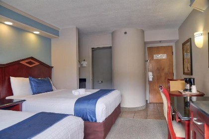 Destiny Palms Hotel Maingate West - image 26
