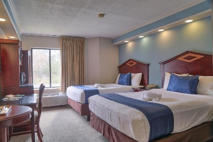 Destiny Palms Hotel Maingate West - image 3