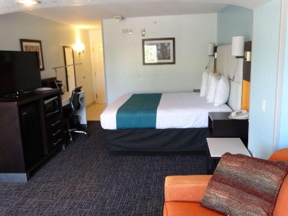 Best Western Plus Kissimmee-Lake Buena Vista South Inn & Suites - image 35
