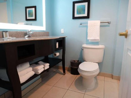 Best Western Plus Kissimmee-Lake Buena Vista South Inn & Suites - image 46