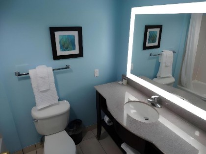 Best Western Plus Kissimmee-Lake Buena Vista South Inn & Suites - image 48