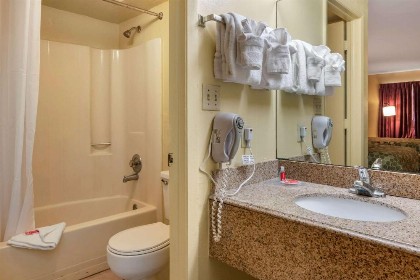 Econo Lodge Inn & Suites Maingate Central - image 10