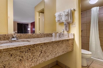 Econo Lodge Inn & Suites Maingate Central - image 14