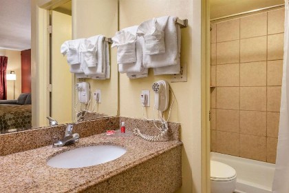Econo Lodge Inn & Suites Maingate Central - image 6