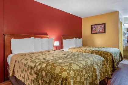 Econo Lodge Inn & Suites Maingate Central - image 7
