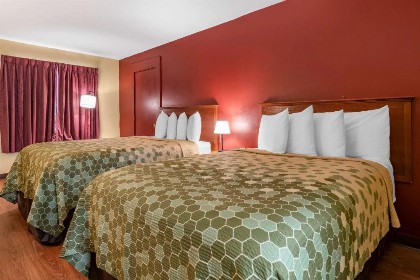 Econo Lodge Inn & Suites Maingate Central - image 8