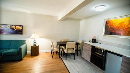 Quality Inn & Suites By the Parks - image 19