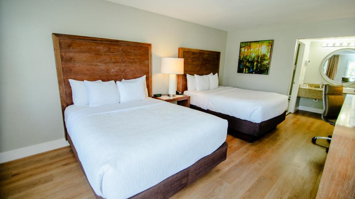 Quality Inn & Suites By the Parks - image 3