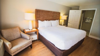 Quality Inn & Suites By the Parks - image 4