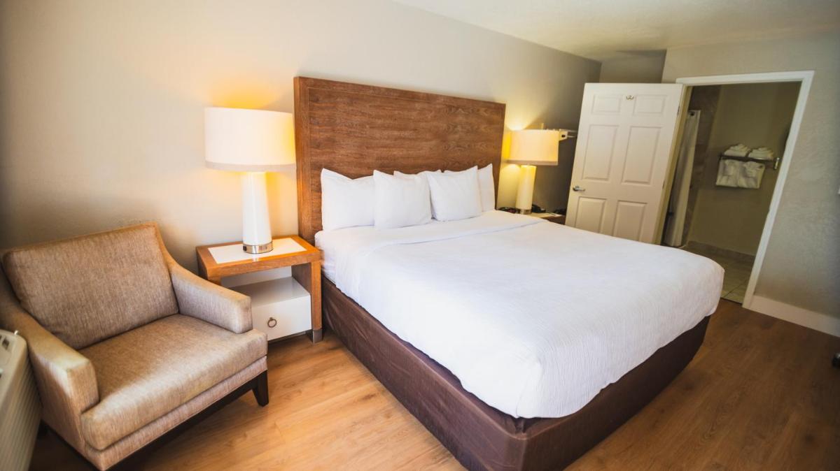 Quality Inn & Suites By the Parks - image 4