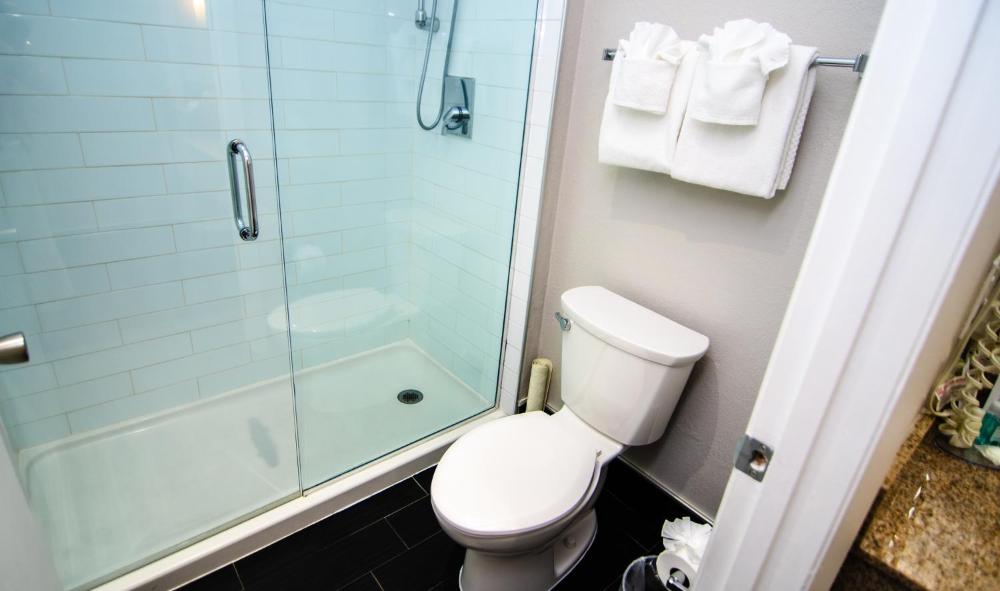 Quality Inn & Suites By the Parks - image 5