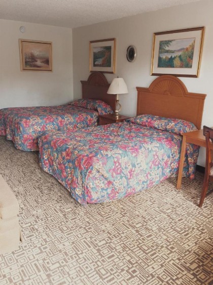Red Carpet Inn Kissimmee - image 19