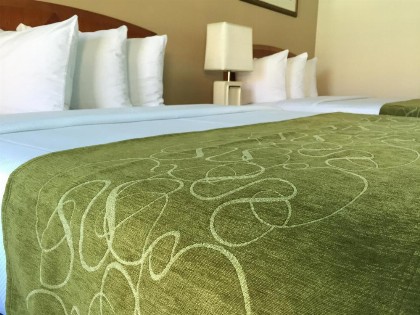 Seasons Florida Resort - image 7