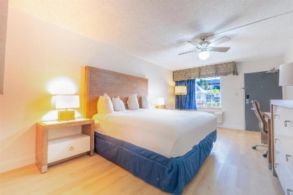 Flamingo Waterpark Resort - image 15