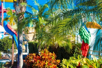 Flamingo Waterpark Resort - image 26