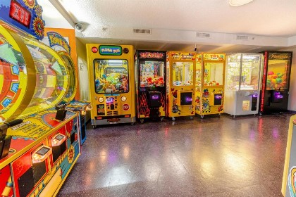 Flamingo Waterpark Resort - image 46
