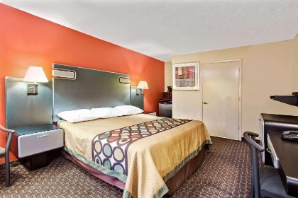 Super 8 by Wyndham Kissimmee/Maingate/Orlando Area - image 10