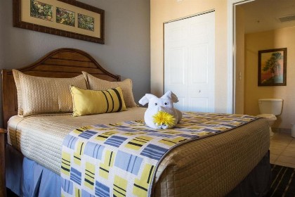 Vacation Village Orlando Resorts - image 42