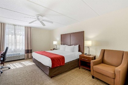 Comfort Inn Kissimmee-Lake Buena Vista South - image 10
