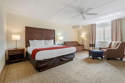 Comfort Inn Kissimmee-Lake Buena Vista South - image 12