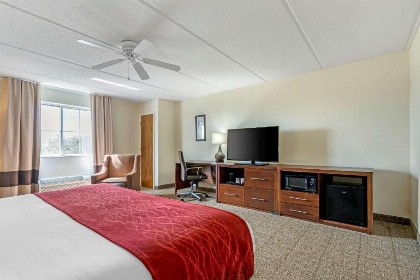 Comfort Inn Kissimmee-Lake Buena Vista South - image 13