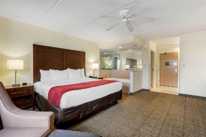 Comfort Inn Kissimmee-Lake Buena Vista South - image 16
