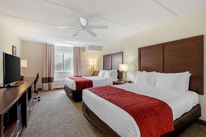 Comfort Inn Kissimmee-Lake Buena Vista South - image 20